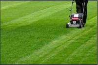 Aurich Gartenpflege Gartengestaltung Winterdienst Dienstleistungen